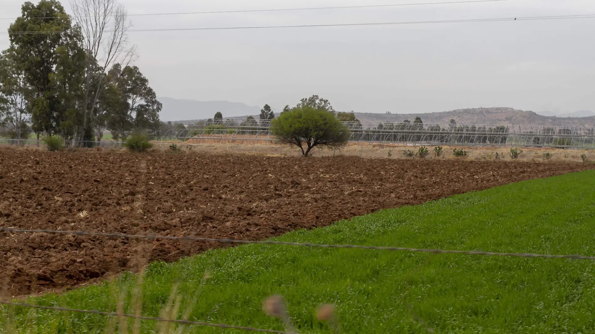 En Tequisquiapan se llevará a cabo un taller de lombricomposta.  Foto Cesar Ortiz  El